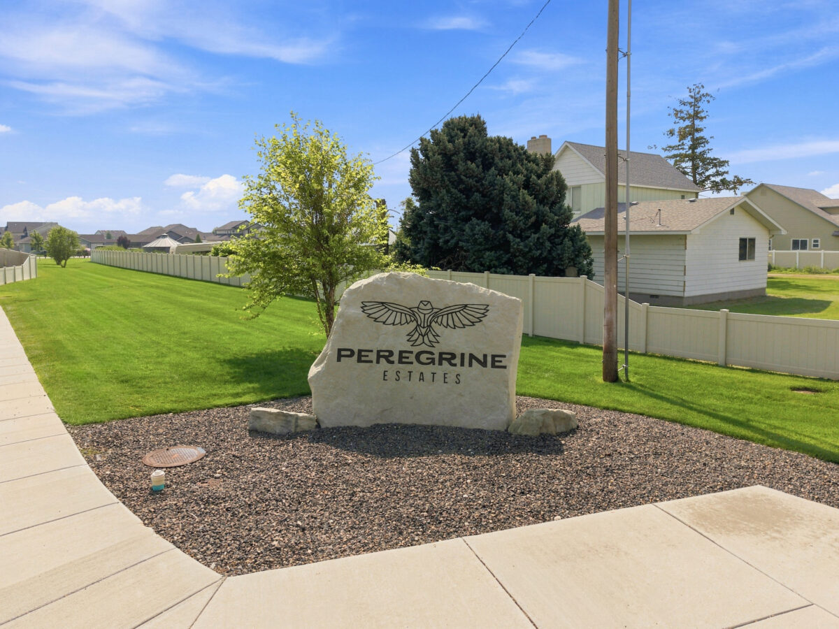 Community Image 11